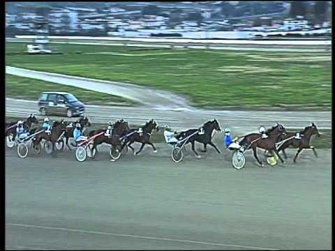 Trotto 21/01/2016 - 5° corsa