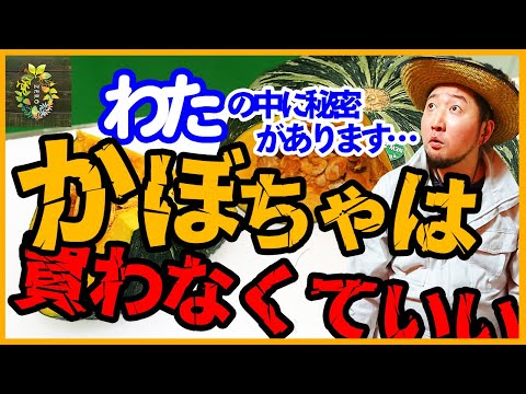 カボチャの種を植える: これが子孫への影響です 植物
