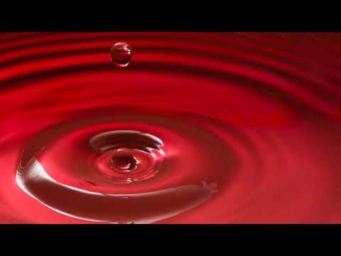 Alex Zurdo - El Color Del Amor ft. El Novato (Vídeo de letras)