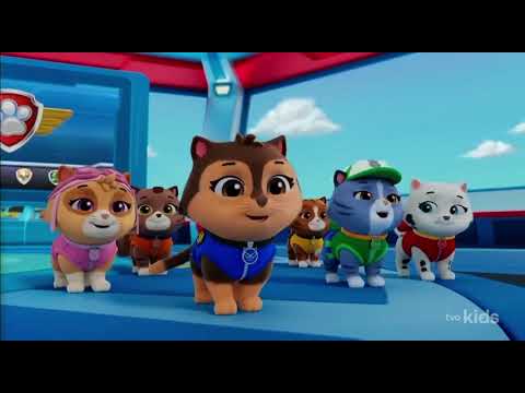 Paw Patrol Air Rescue Pups Save a Hum-stronaut 👍