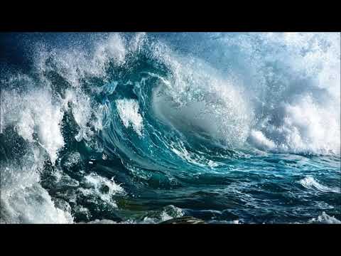 Wave - Dejan Vizant