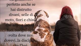 Lettera a un cane che non c'è più (da parte di padrone imperfetto) di 4tu