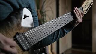Video thumbnail for Harley Benton TE-7 fanFret JBB Telecaster by Goasryder