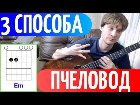 3 СПОСОБА 😜 ПЧЕЛОВОД под гитару РАЗБОР и АККОРДЫ