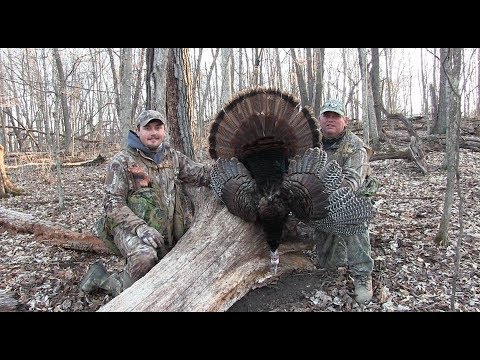 Turkey Hunting SW Wisconsin 