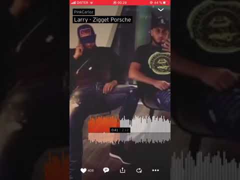 Larry44 -  Zigget Porsche