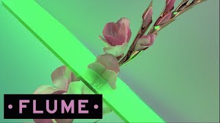 Flume - Never Be Like You feat. Kai (Disclosure Remix)