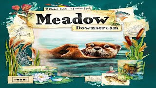 Meadow: Downstream - Discussion