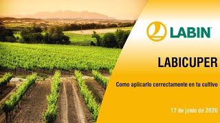 Webinar LABIN-  LABICUPER          17/06/2020