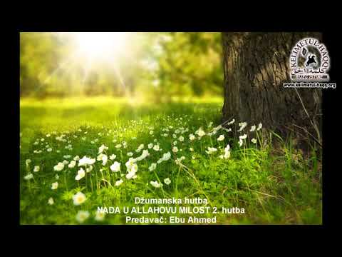 Nada u Allahovu milost 2. hutba - Ebu Ahmed
