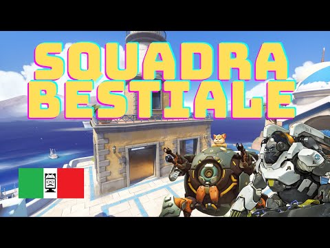 QUANDO SALE LA SCIMMIA