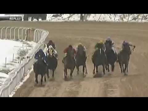 RaceBets.com - Auch Mobile die Nr.1 - Rennen