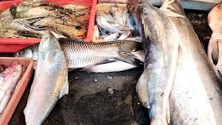 Powai fish market , मुंबई में फिश मार्केट fish market mumbai