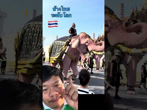 ช้างไทยสุดยอด #กัมพูชา #เขมร #ช้าง #stitch #duet