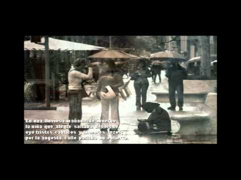 El Seminarista De Los Ojos Negros - Omar Cerasuolo