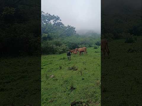 San lorenzo #naturaleza #sanlorenzo #salta
