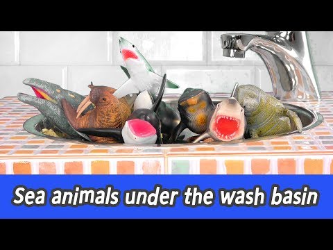 [EN] Sea animals under the wash basin! sea animal names for children, collecta figuresㅣCoCosToy