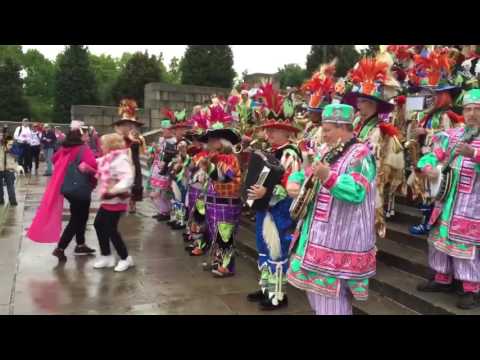 Ferko String Band "Four Leaf Clover" - Race For The Cure 2016