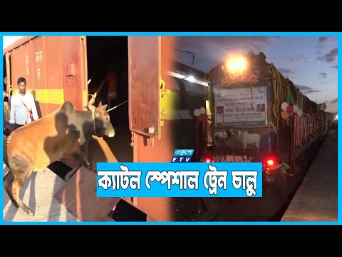 রাজশাহী থেকে ট্রেনে আসছে কোরবানীর পশু