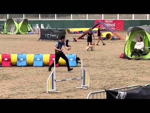 Will & Brave Iconix August 25 Grand Final G4-7 Clear 1st place champion!! (willbacchus.com)