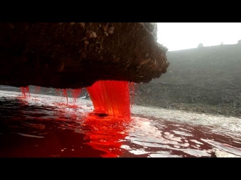 Click to Watch the Mystery of Antarctica's Blood Falls finally solved, but now there's a new mystery with ALIEN implications video Click to Watch the Mystery of Antarctica's Blood Falls finally solved, but now there's a new mystery with ALIEN implications video