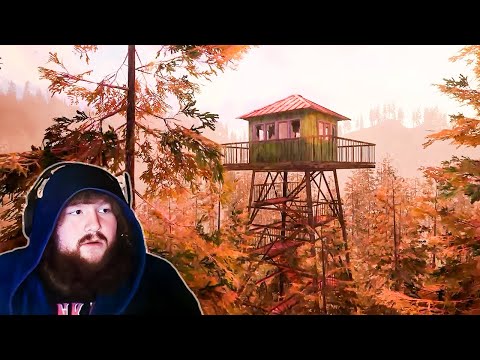 Forest Lookout…