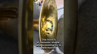 Video thumbnail for Beautiful 867 👀 by Houghton Horns