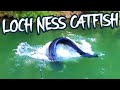 LOCH NESS MONSTER CATFISH