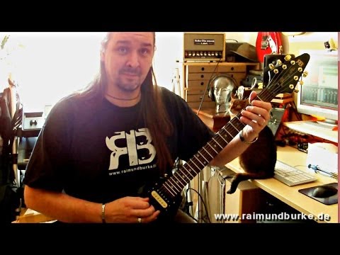 Michael Schenker - Into the arena - cover by Raimund Burke