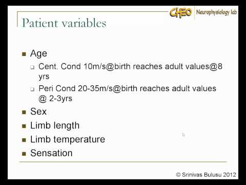 Evoked Potentials in clinical testing