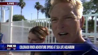 Sea Life Arizona Colorado River Adventure