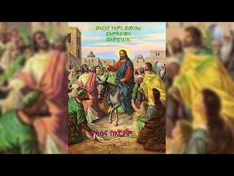 ሆሳዕና ለወልደ ዳዊት