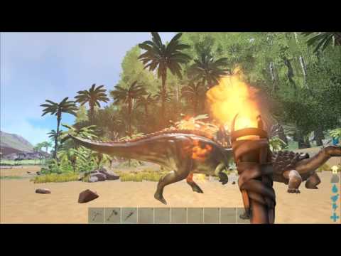 The island save, Dilo army