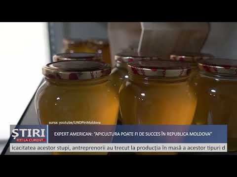, title : 'Expert american în apicultură: Apicultura poate fi o afacere de succes în Moldova.'