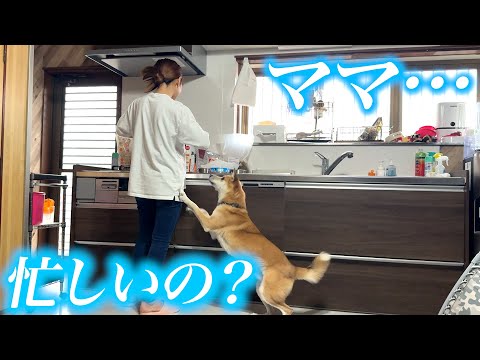 忙しいあいるんに労いのプレゼント