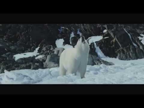 The Journey Home (Trailer)