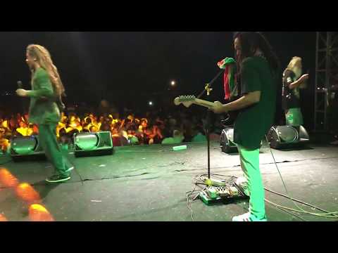 BACK TO REGGAE | Concrete Jungle. (Cover) Feat Kiki uprising and Musblues