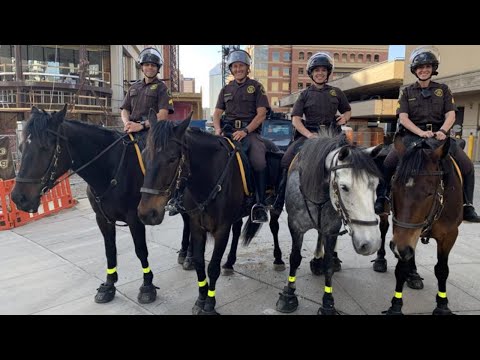 Wondering why there's more Sheriff's horses in downtown Grand Rapids? Here's the reason:
