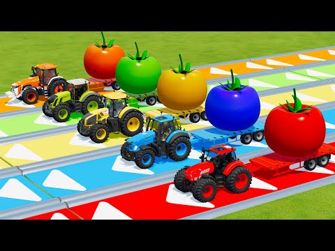 DEUTZ FAHR vs FENDT vs JOHN DERRE vs CLAAS TRACTORS BATTLE WITH TOMATOES - Farming Simulator 22
