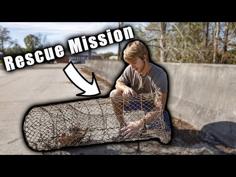 Magnet Fishing Gone WRONG - Magnet Fishing Turned RESCUE Mission