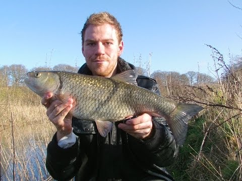 Lucky pb chub in very high flood water - chrisnsam