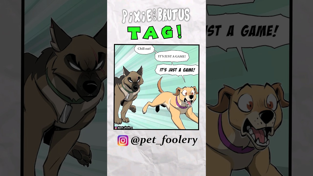 Tag game gets taken TOO seriously | Pixie and Brutus #funny #pets #cute #comic #dub