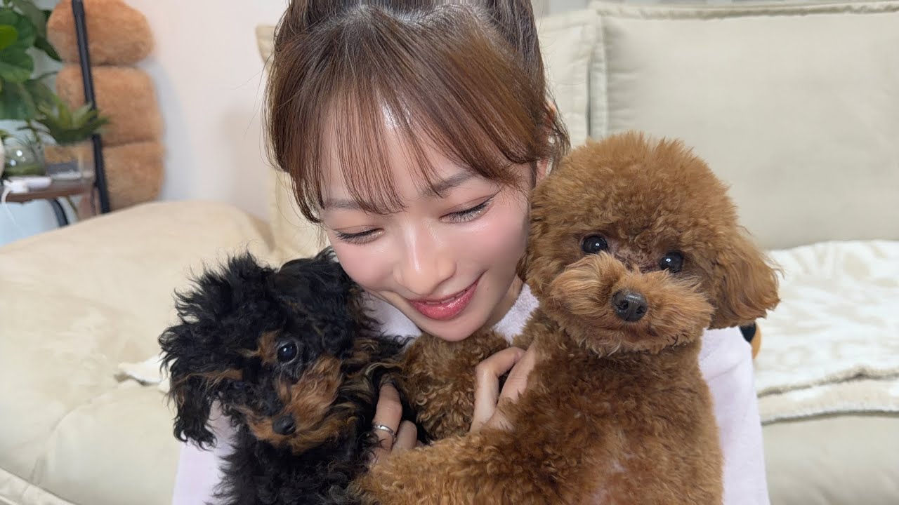 新しい家族が増えました