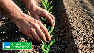  Contingenciamento na defesa agropecuária - 16/04/2026 10:00