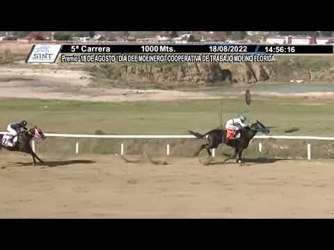 CARRERAS SINT FLORIDA - 220818 c05 1° BELO PALPITE (BRZ)