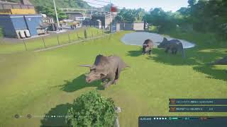 恐竜を見るだけ