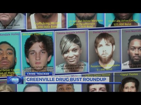 Jailbird Pitt County