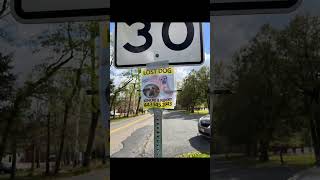 Video 1 trigger image