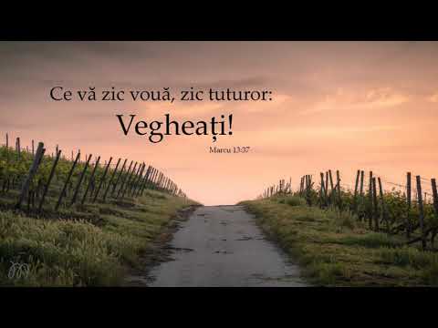 Grup vechi Bivolărie - Din nou pe căile trezirii