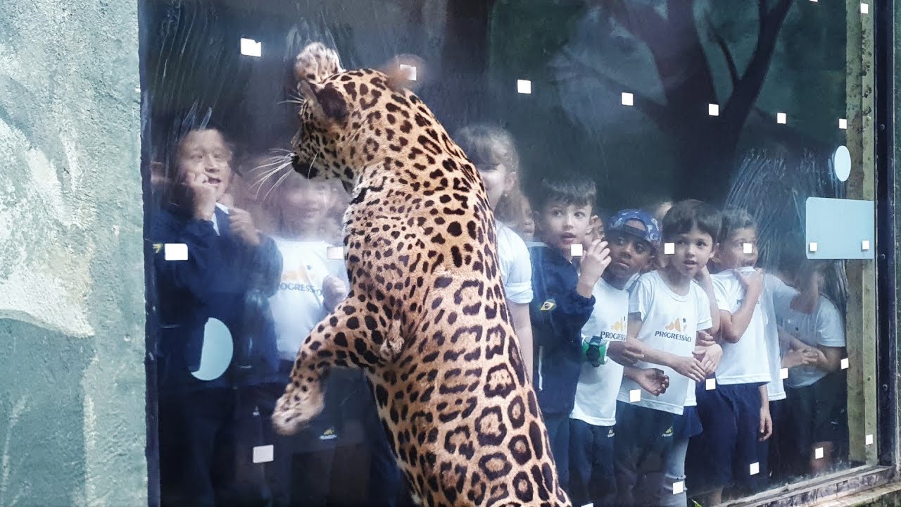 Viagem ao Projeto Selva Viva - 1º Ano